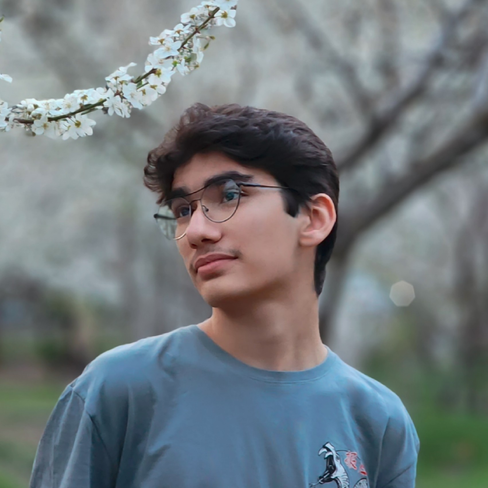 سورنا شیرزاد نوبر
