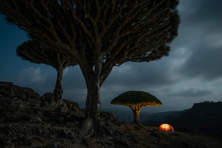 فراخوان بین‌المللی عکاس سفر سال